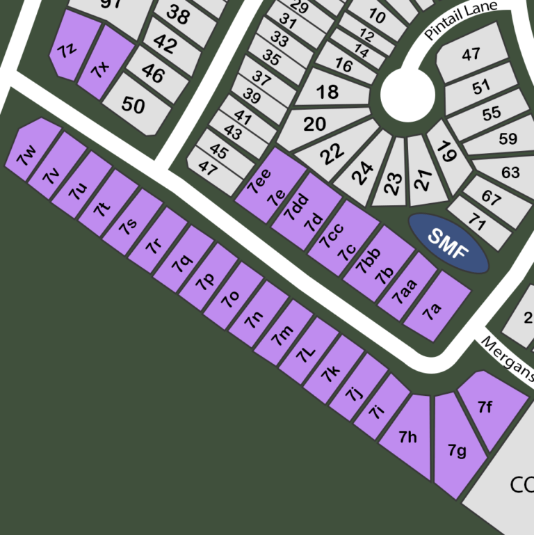Phase 7 Map (2025)